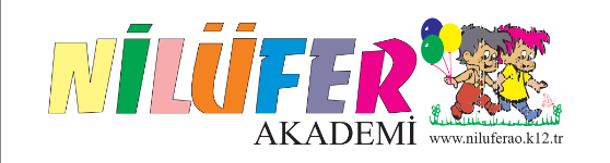 NİLÜFER AKADEMİ